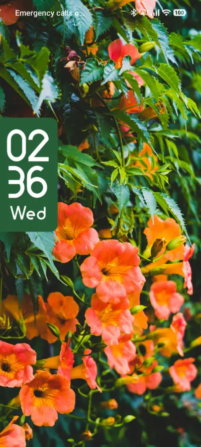 Floral Burst - Screenshot 1