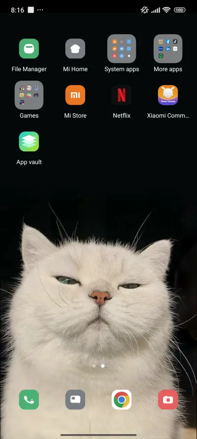 Cat - Screenshot 3