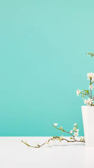 White vase, cherry blossoms, spring atmosphere - Screenshot 1