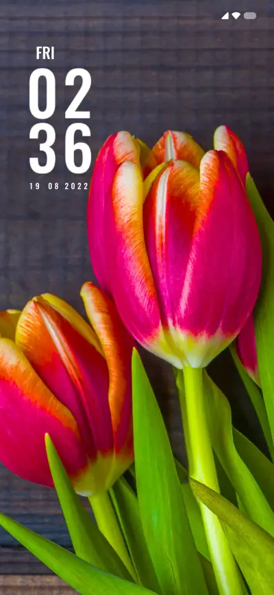 Nature Flower - Screenshot 1