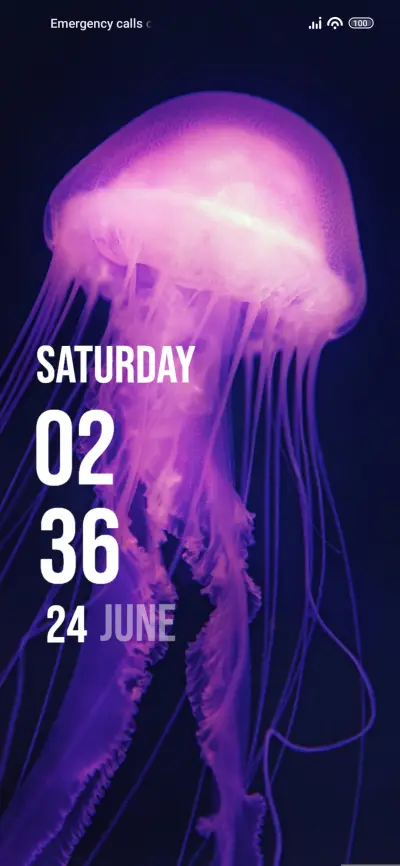 Sea Jellyfish