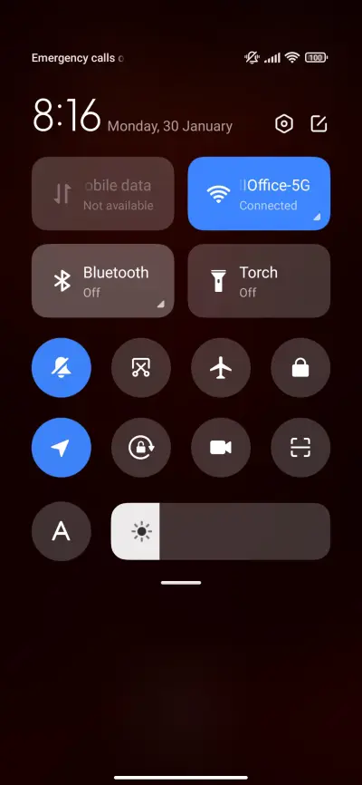 Phoenix in Fire - Screenshot 5