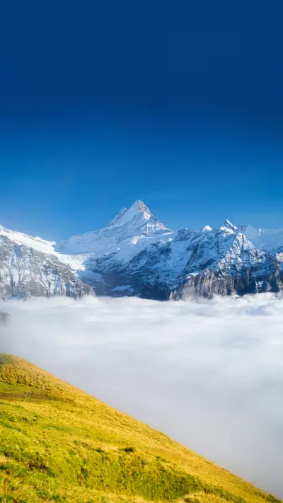 The beauty of the world