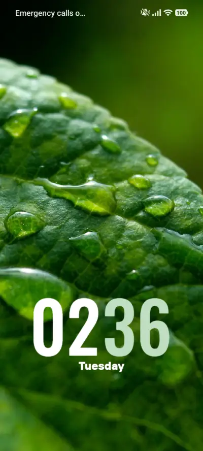 Forest Rain - Screenshot 1