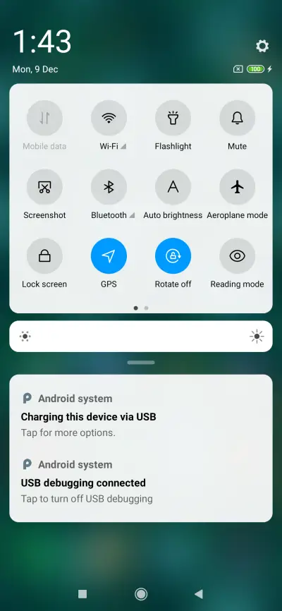 Green branches_DWM19 - Screenshot 5