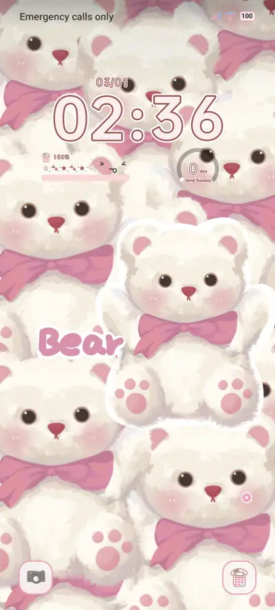 Pink Bear Shop
