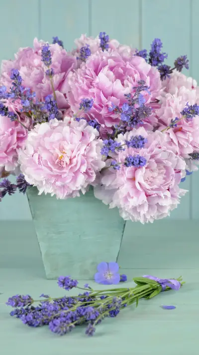 international-peony - Screenshot 1