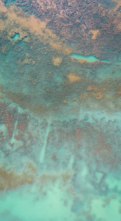 Nature HD - 2020-06-02T124041.722 - Screenshot 1