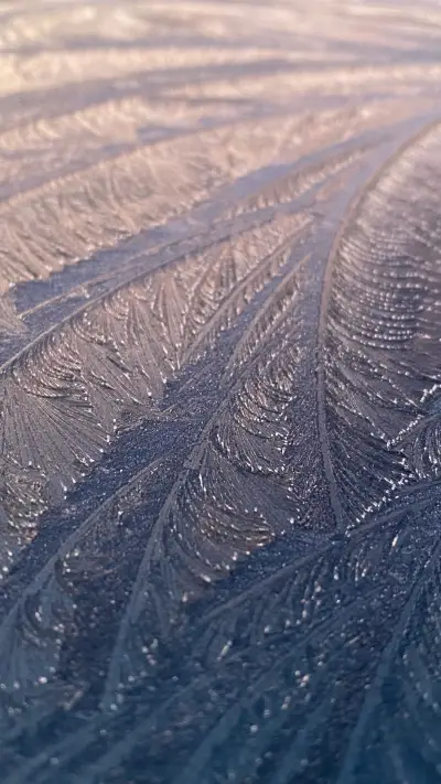 A closeup of a car covered in frost flowers - Screenshot 1