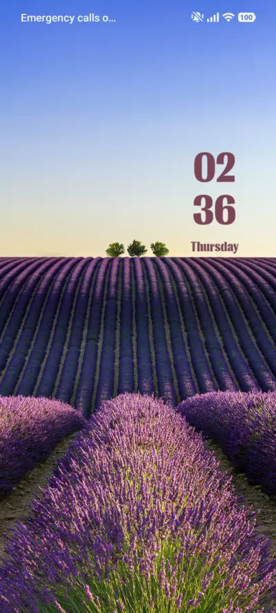 Lavender Field THEME for Xiaomi MIUI HyperOS