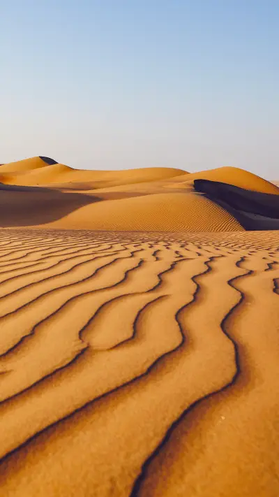 Sand dunes in desert landscape - Screenshot 1
