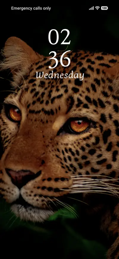 Spotted Fury THEME for Xiaomi MIUI HyperOS