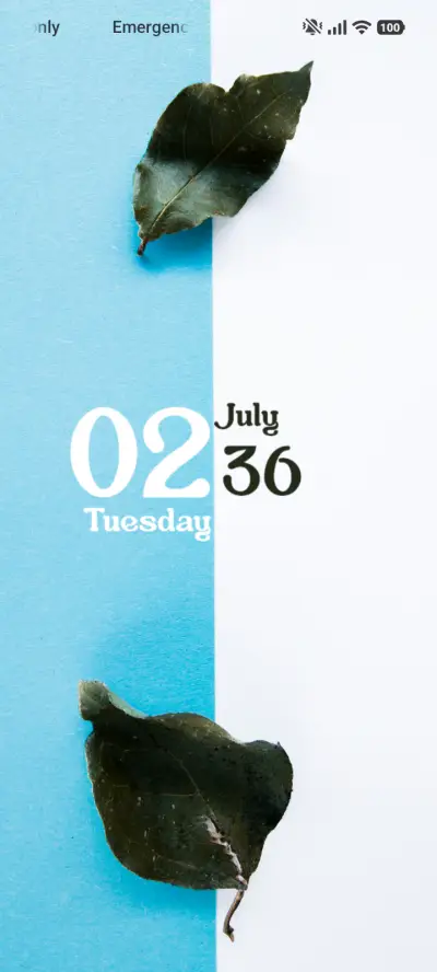 Black Leaf THEME for Xiaomi MIUI HyperOS