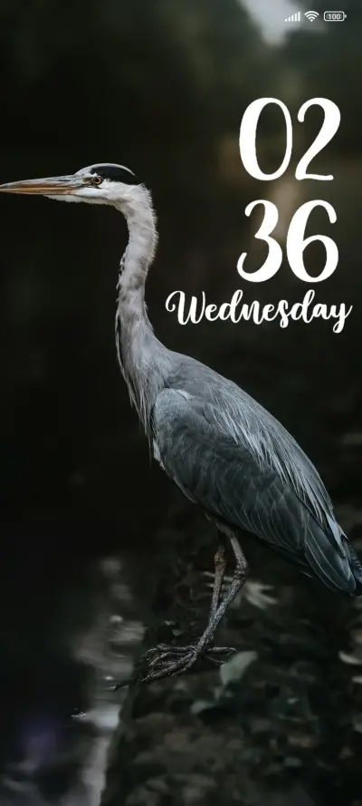 White Bird - Screenshot 1