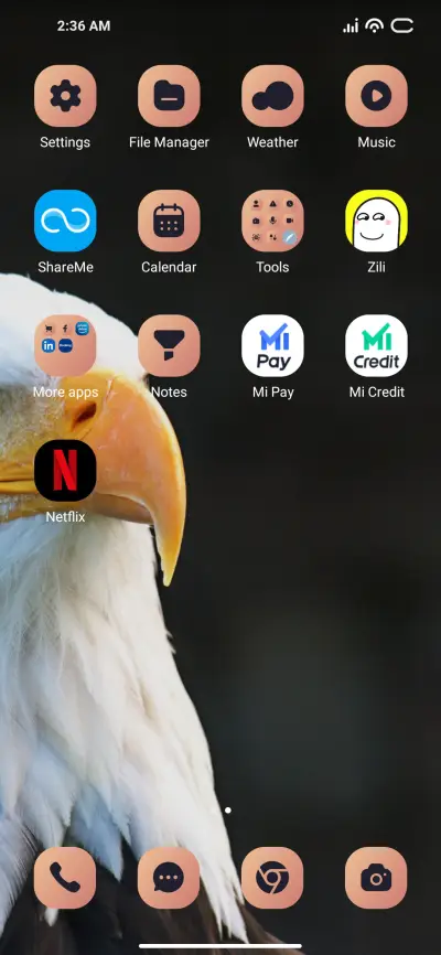 Eagle Look - Screenshot 3