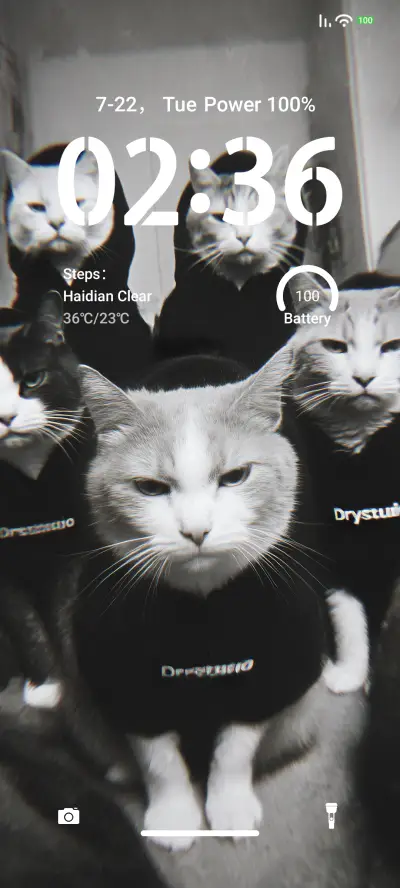 Cat Gang - Screenshot 1