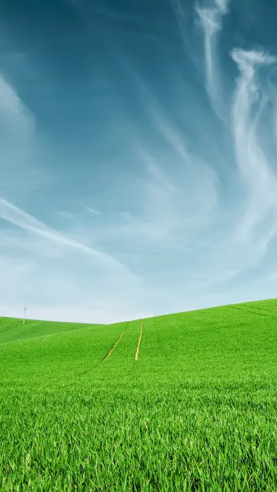 Abstract natural idyllic background with green grass