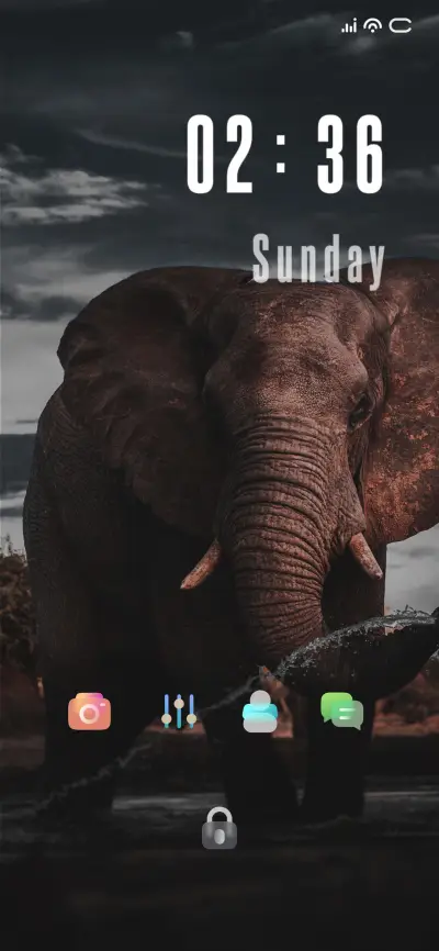 Wild Elephant