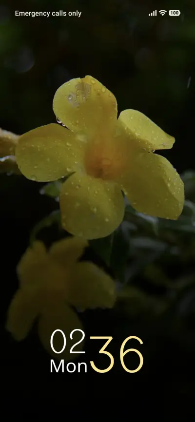 Golden Shower THEME for Xiaomi MIUI HyperOS