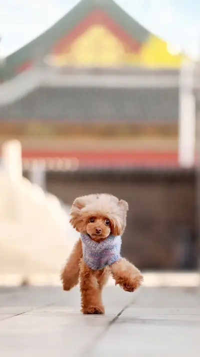 Secrets known by the excrement shoveler 72