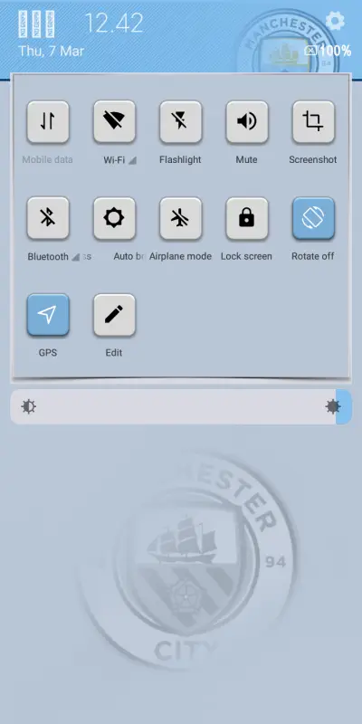 ManchesterCityV10 - Screenshot 5