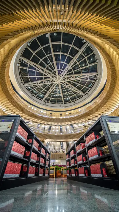 Quiet reading in library 3 - Screenshot 1