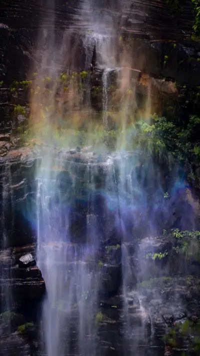 The dense foliage above the Rainbow Mist Waterfall