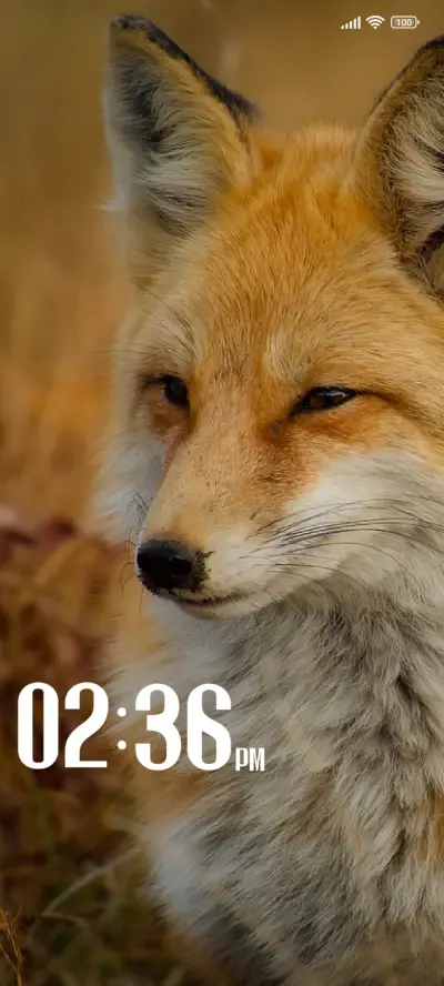 Fox - Screenshot 1