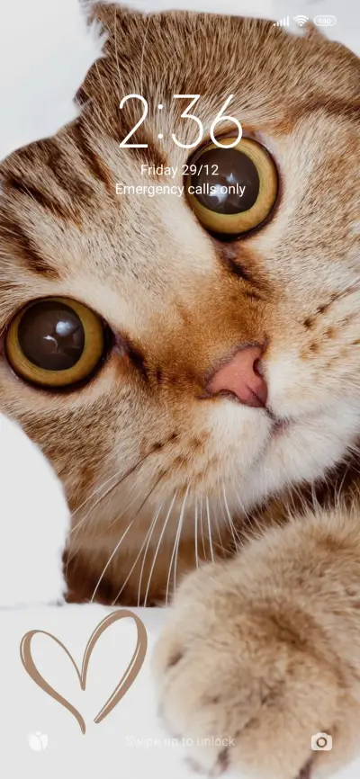 cute cat - Screenshot 1