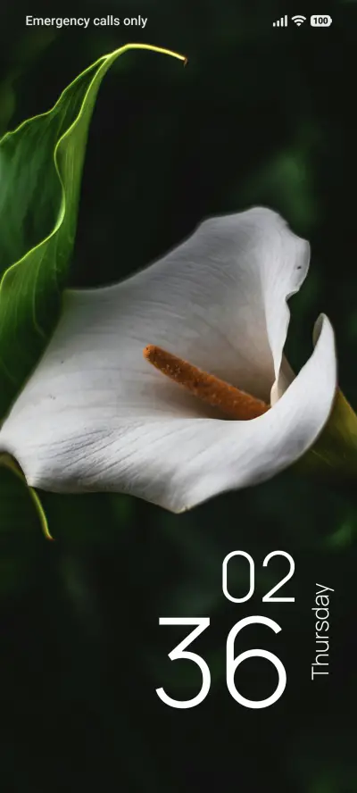 Snow Blossom THEME for Xiaomi MIUI HyperOS