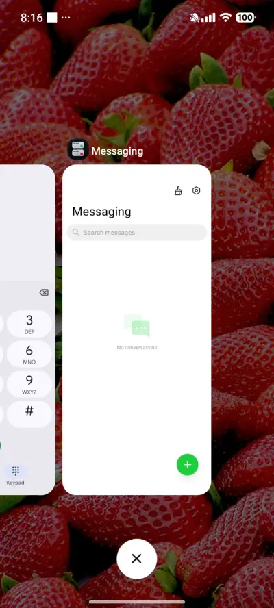 Strawberry - Screenshot 4