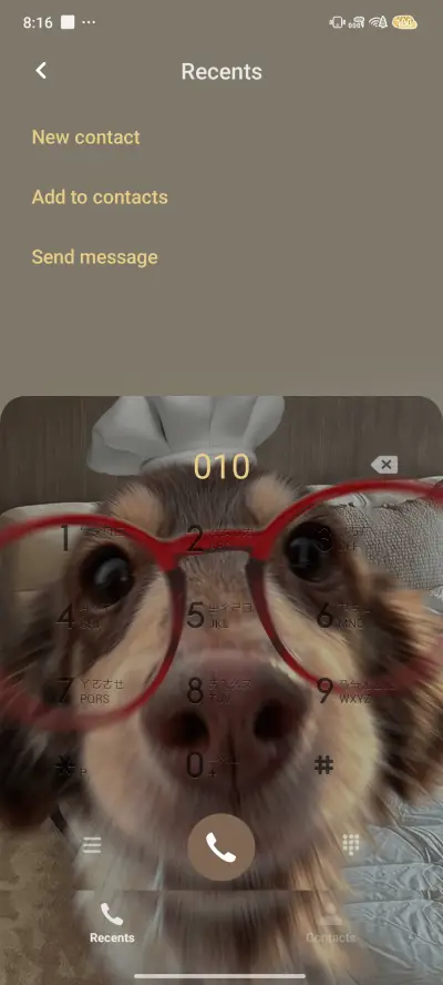 Cute sausage puppy - Screenshot 6