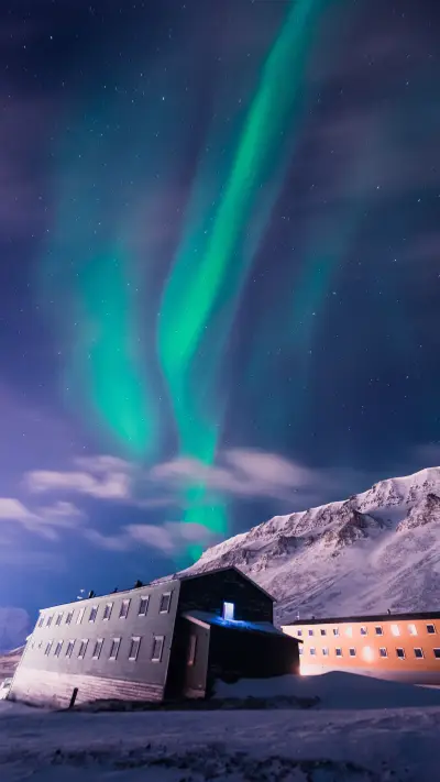 Arctic frost landscape