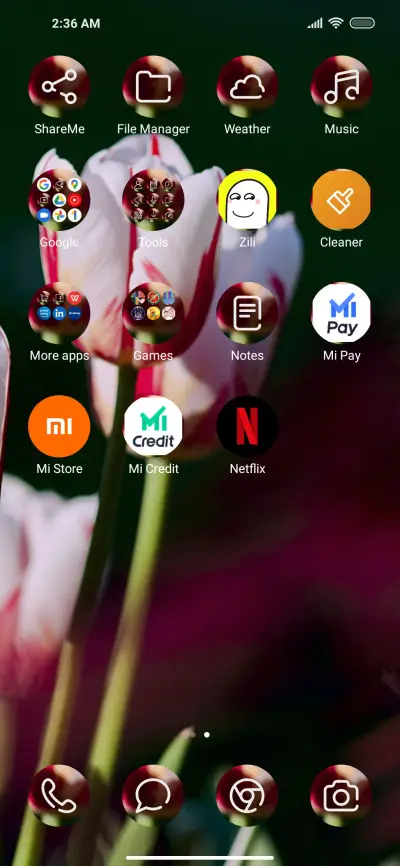 Tulip2 - Screenshot 3