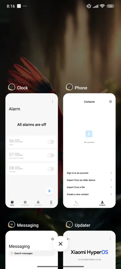 Carnival Parrot - Screenshot 4