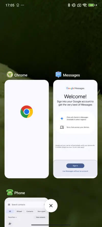 Daytime Dumpling - Screenshot 4