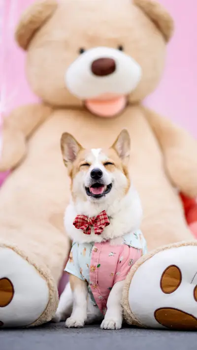 Dogs have too many facial expressions - Screenshot 1