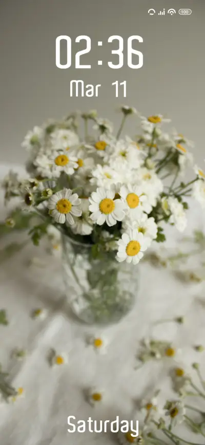 Bouquet - Screenshot 1