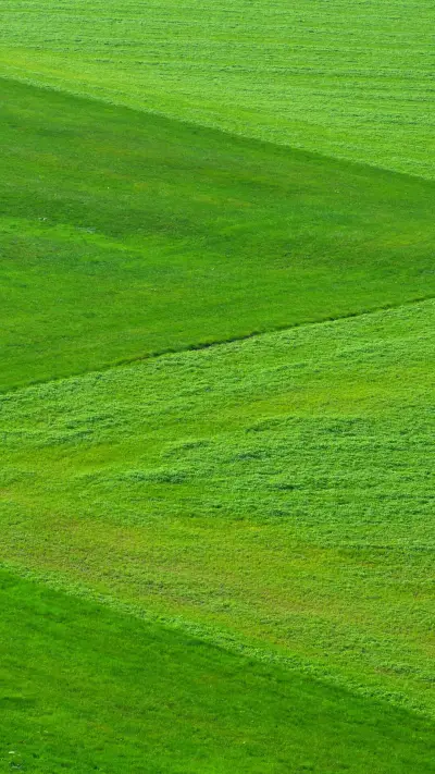 绿色 - Screenshot 1