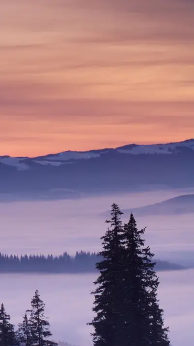 Nature's Masterpiece