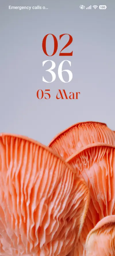 Clear Fields THEME for Xiaomi MIUI HyperOS