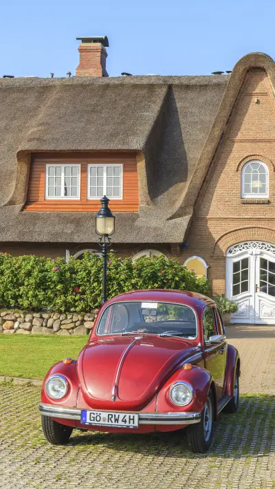 Ancient Car Vehicle Beetle