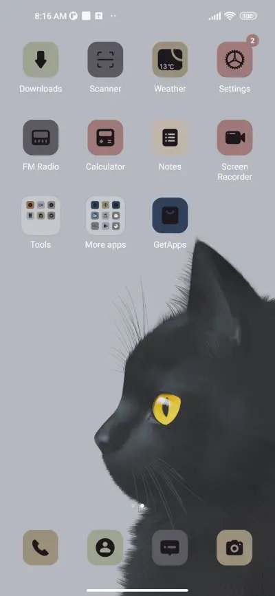 Black Cat - Screenshot 3