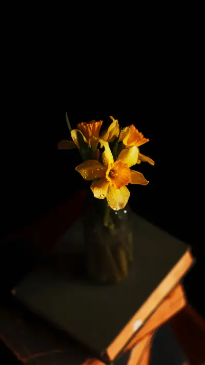 Daffodil on a stack of old books dark background