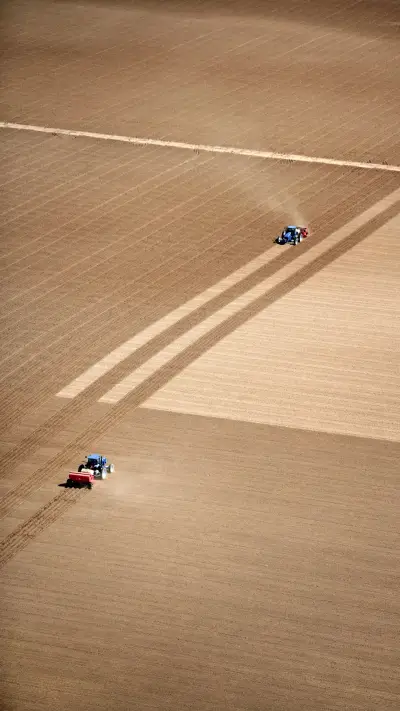 Data release of the third national land transfer 21