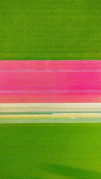 Green eye protection