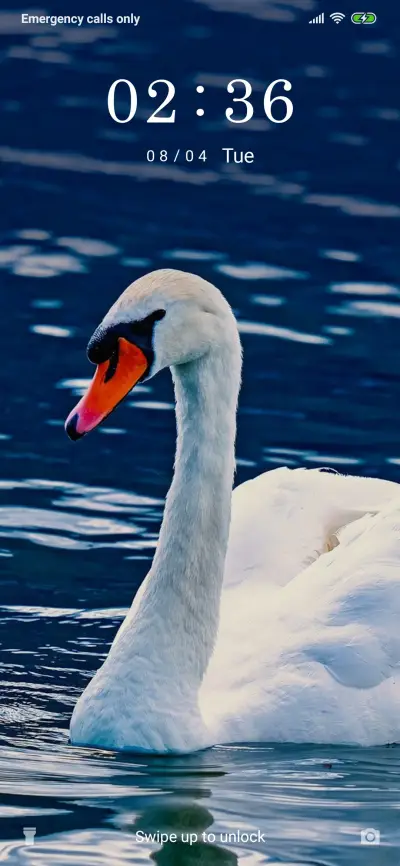 White Swan_3MDS - Screenshot 1