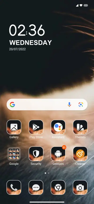 Wild Cat - Screenshot 2