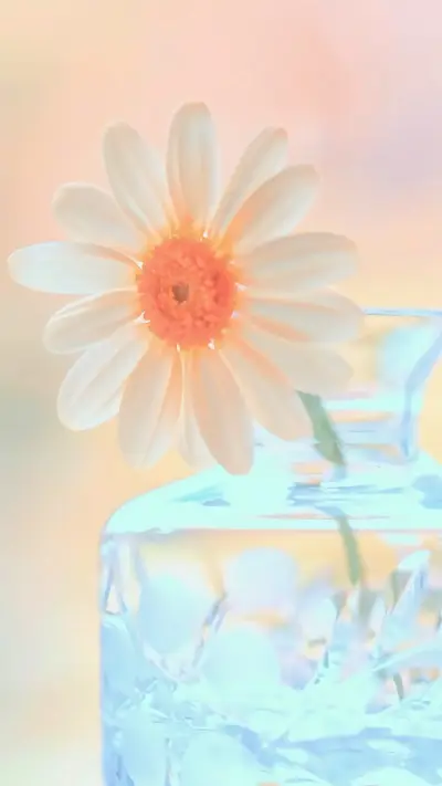 OGQ (214) - Screenshot 1