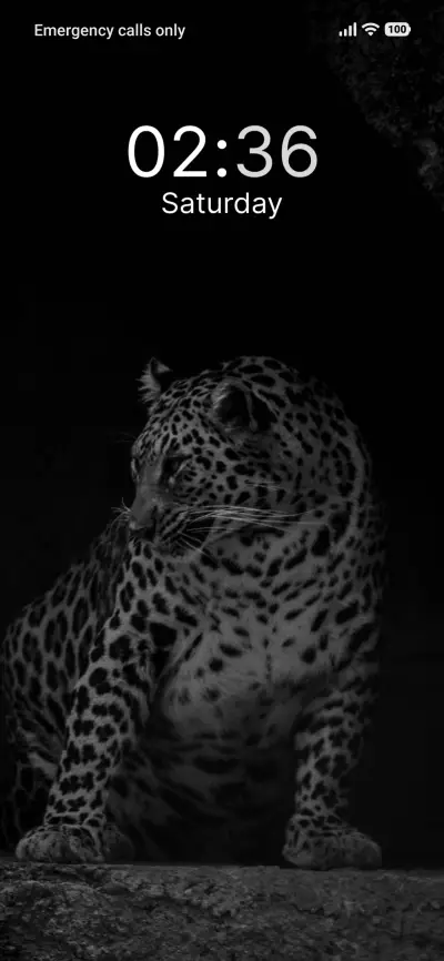 Cave Night - Screenshot 1